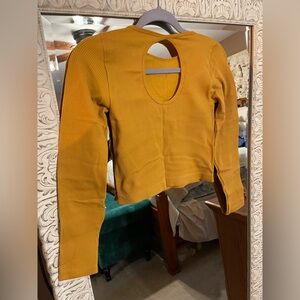 Aura Gold Crop Ribbed Top